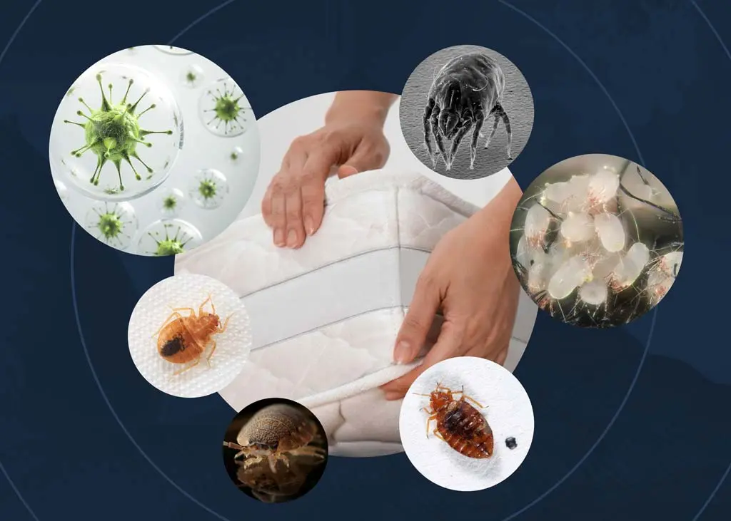 SPAVA LI HIGIJENA NA VAŠIM MADRACIMA?